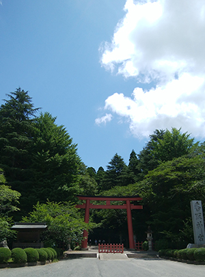 干支九星　九星気学　さいたま　占い　朱かね　香取神宮　朱門