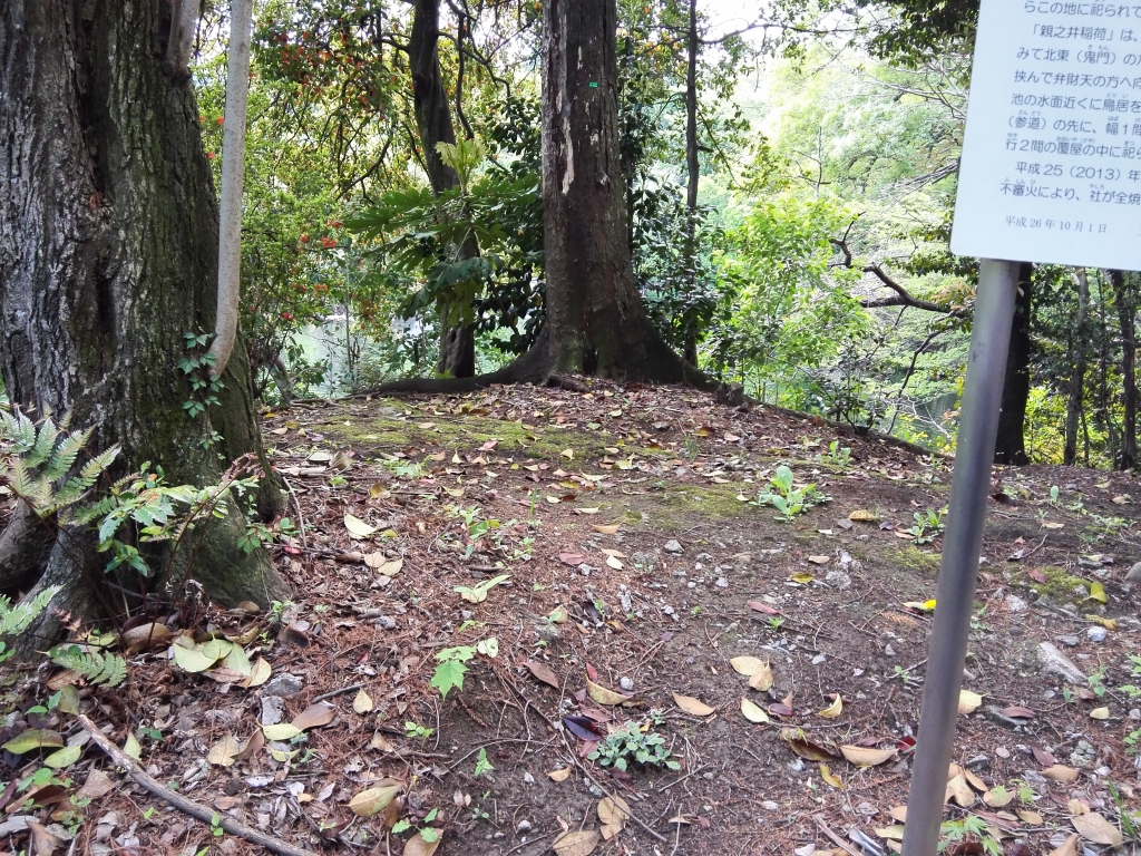 さいたま　占い　干支九星　井の頭公園