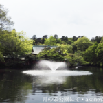 占い　当たる　干支九星