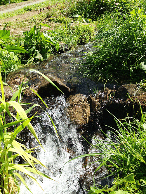 埼玉　占い　干支九星　朱かね　一白水星